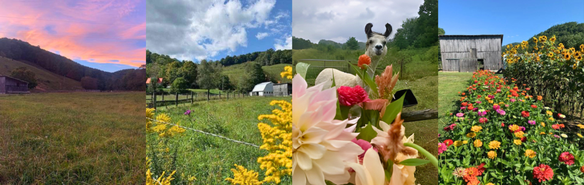 Friend of Agriculture Farm Tour: Hellbender Farm
