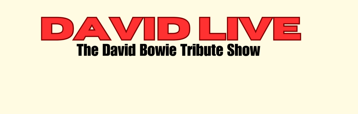 David Live - The David Bowie Tribute Show at The Mildmay Club