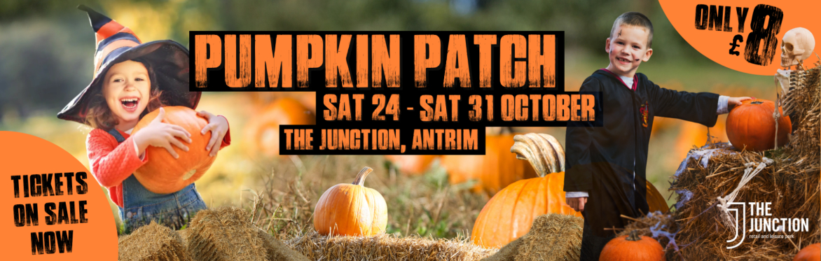 Pumpkin Patch