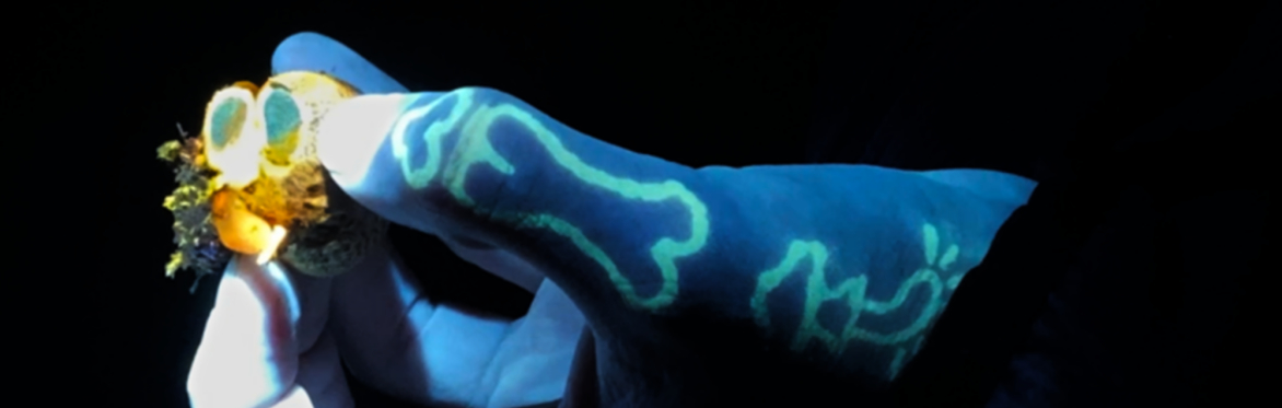 Biofluorescent Mushroom Painting Session with Kit Ondaatje Rolls