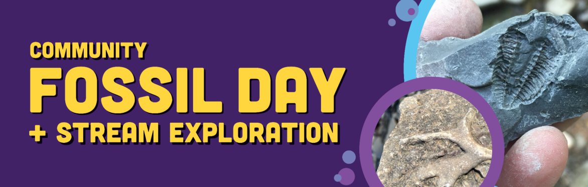 Community Fossil Day + Stream Exploration