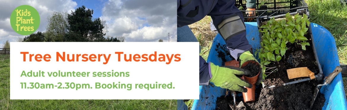Kids Plant Trees - Tree Nursery Tuesdays. Adult volunteer sessions. 10.30am-1.30pm. Booking required.