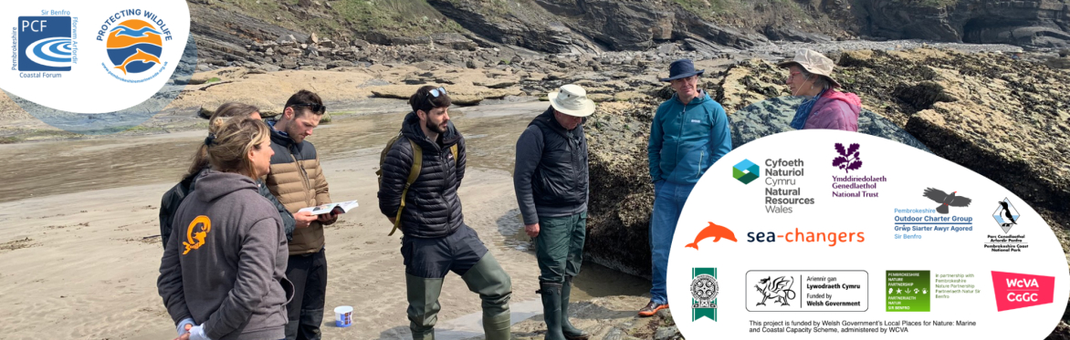 Pembrokeshire Marine Code event - Shores | Digwyddiad Cod Morol Sir Benfro - Y Glannau