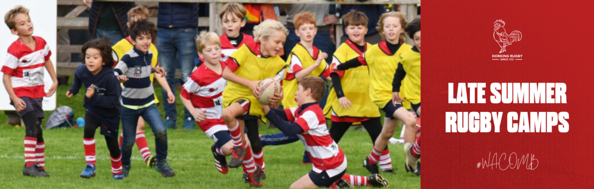 Dorking Late Summer Camp - August