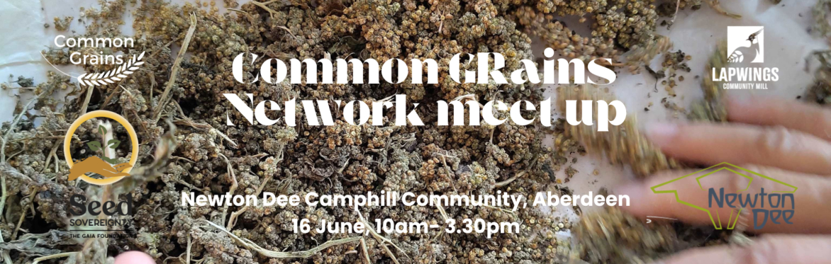 Common Grains Meet-up June 2025