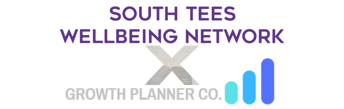 South Tees Wellbeing Network - JOURNALS PROGRAMME - Wellbeing in Practice (GROUP C)