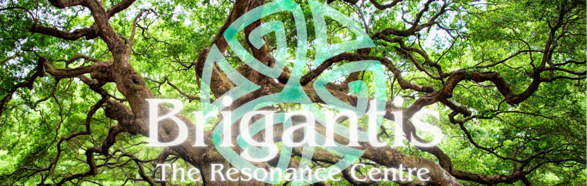 Brigantis at the Resonance Centre