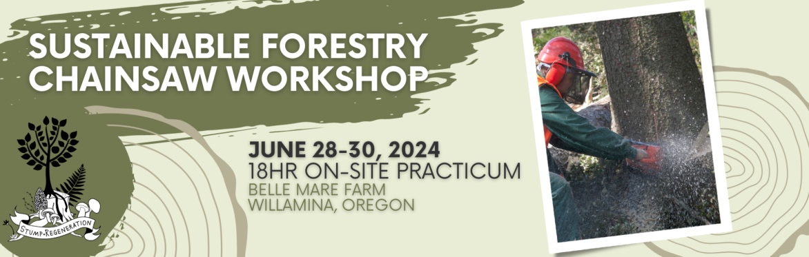 Sustainable Forestry Chainsaw Workshop at Belle Mare Farm