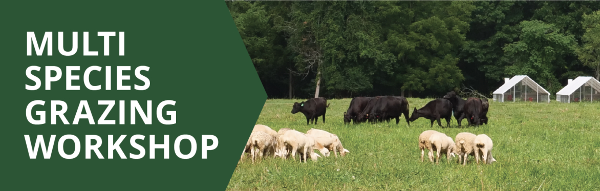 Multi Species Grazing Workshop