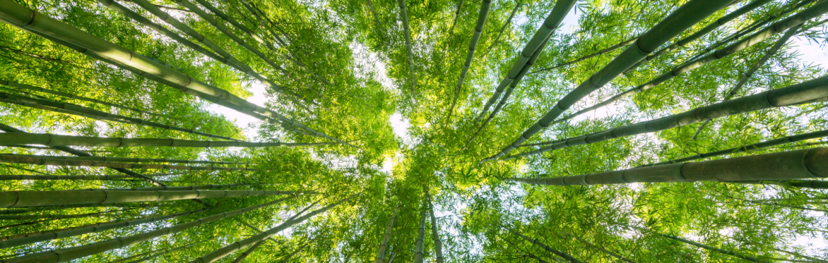Select tickets – GFF | Fundraising for environmental work overseas – Zoom