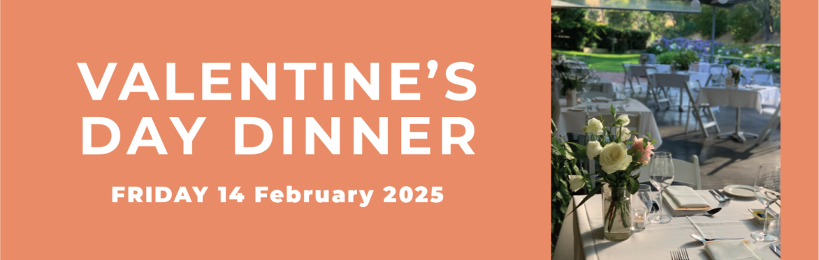 Valentine's Day Dinner