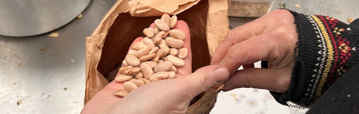 A photo of a hand, palm face up, holding many seeds which they are about to add to a brown paper bag being held open by another hand