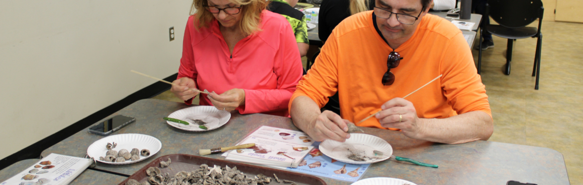 Volunteer Archaeology Lab in June