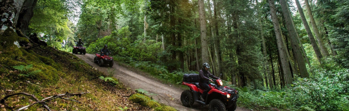 Quad Biking & Optional Walk & Cafe Visit