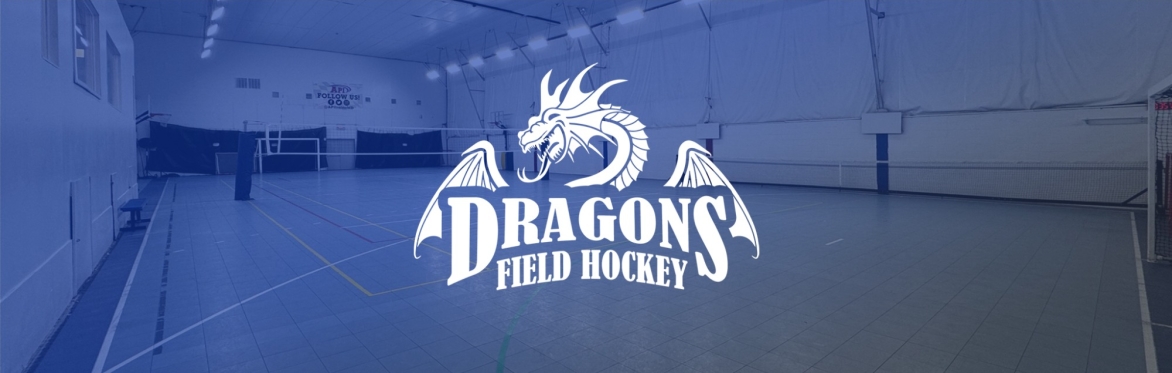 DC Dragons Winter Indoor Pickup 🏑