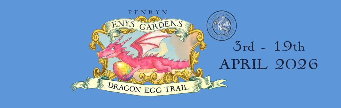 C.D.C.S Dragon Egg Trail 2026