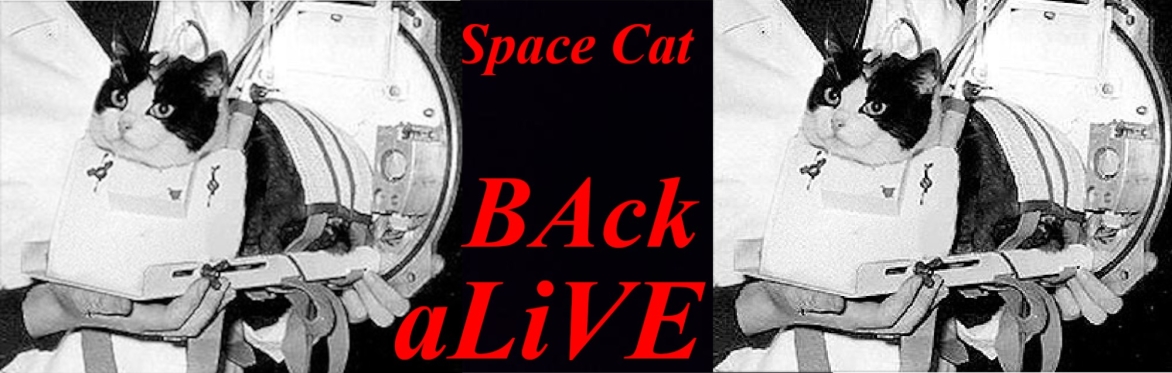 Space Cat BAck aLiVE