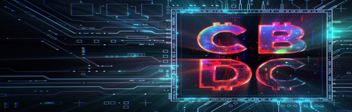 Central Bank Digital Currencies