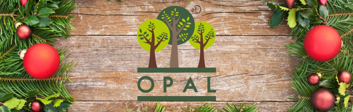 OPAL Christmas Fair & Afternoon Tea