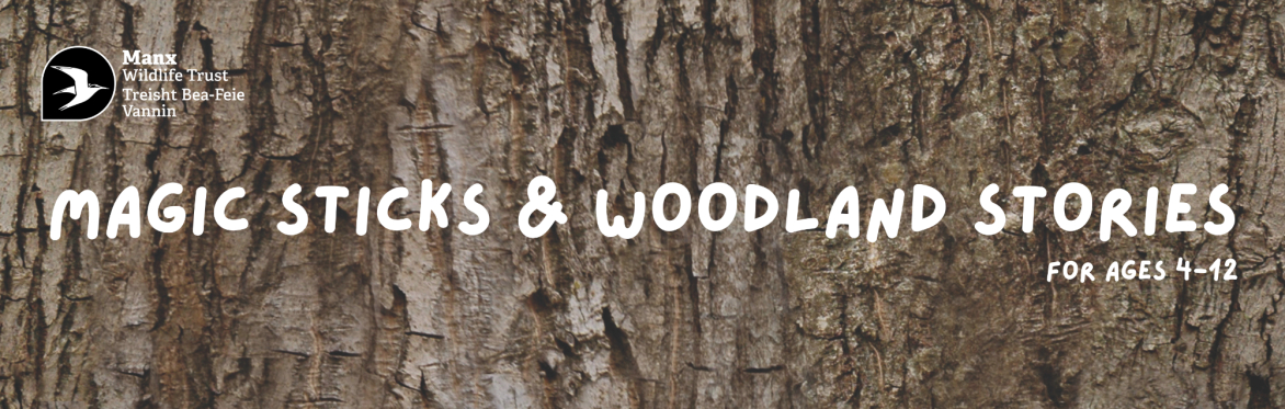 Magic Sticks and Woodland Stories at MWT Hairpin Woodland Park