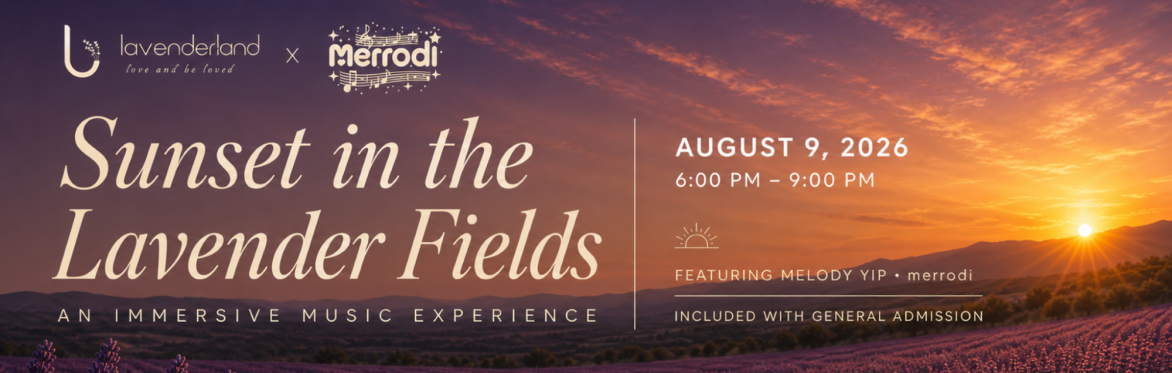Lavenderland x merrodi presents: Sunset in the Lavender Fields