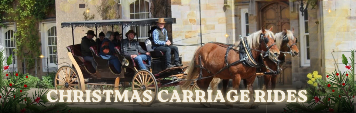 Two brown horses pulling a carriage with the words "Christmas carriage rides"