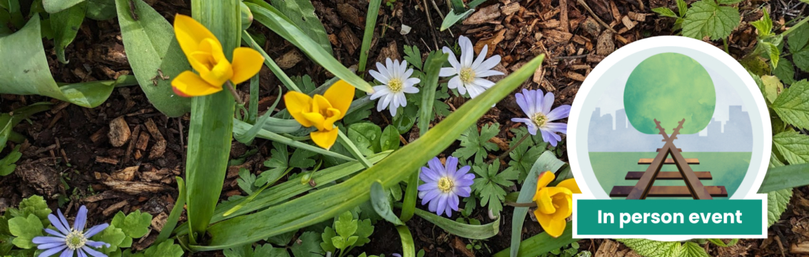 Gardening Club / Clwb Garddio