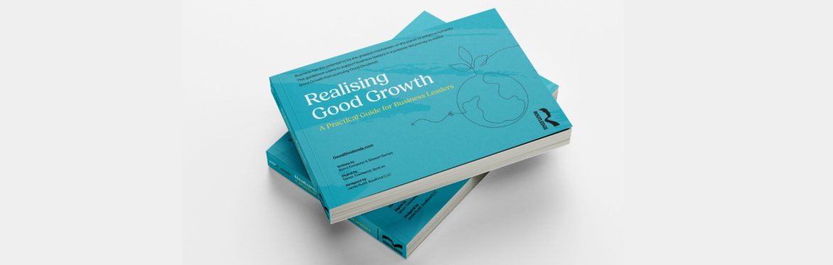 Image of the Realising Good Growth book