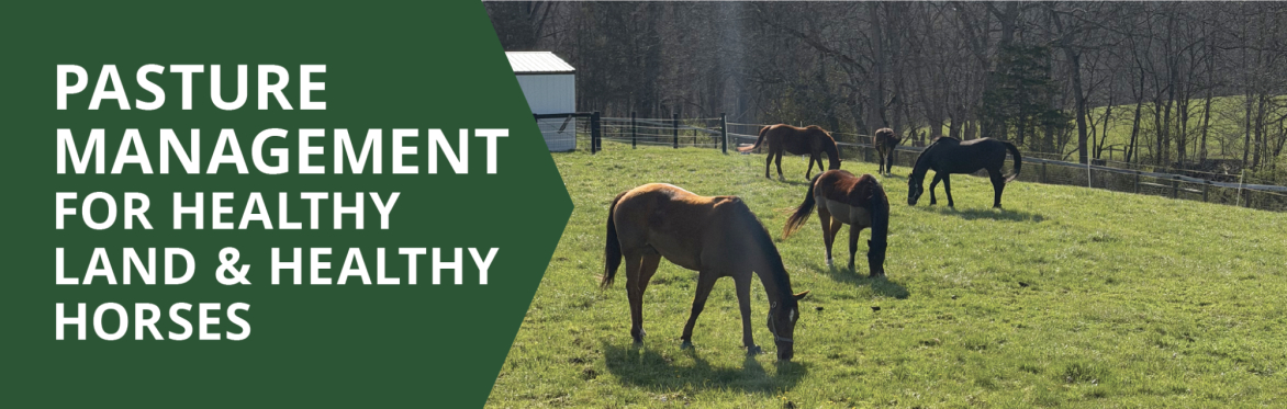 Pasture Management for Healthy Land and Healthy Horses