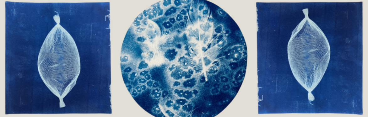 Cyanotype Workshop