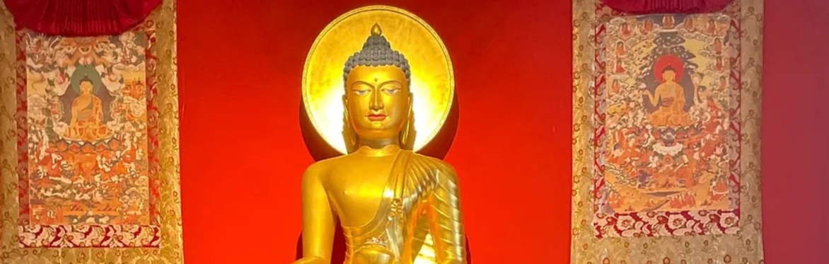 The Buddha's Heart: A Four Week Online Course With Mike Kewley