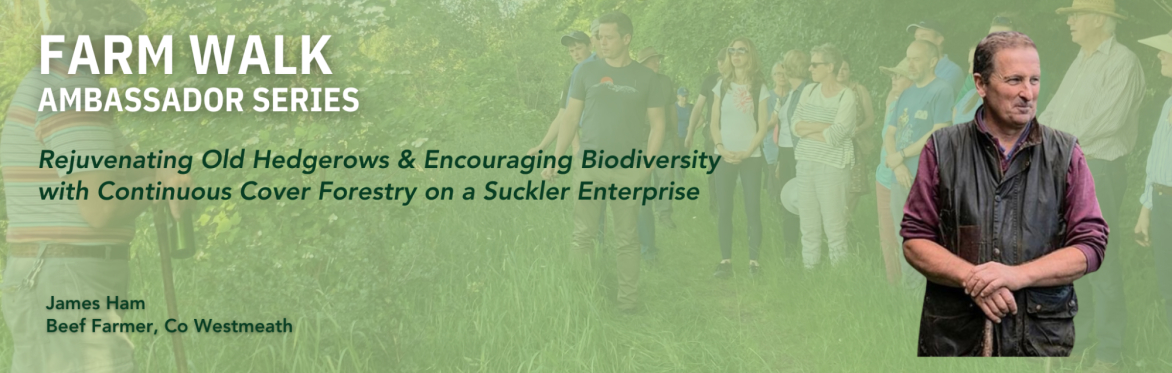Farming For Nature walk with James Ham - June (Co. Westmeath)