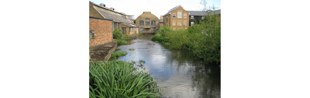 Days Out Group - Frogmore Paper Mill