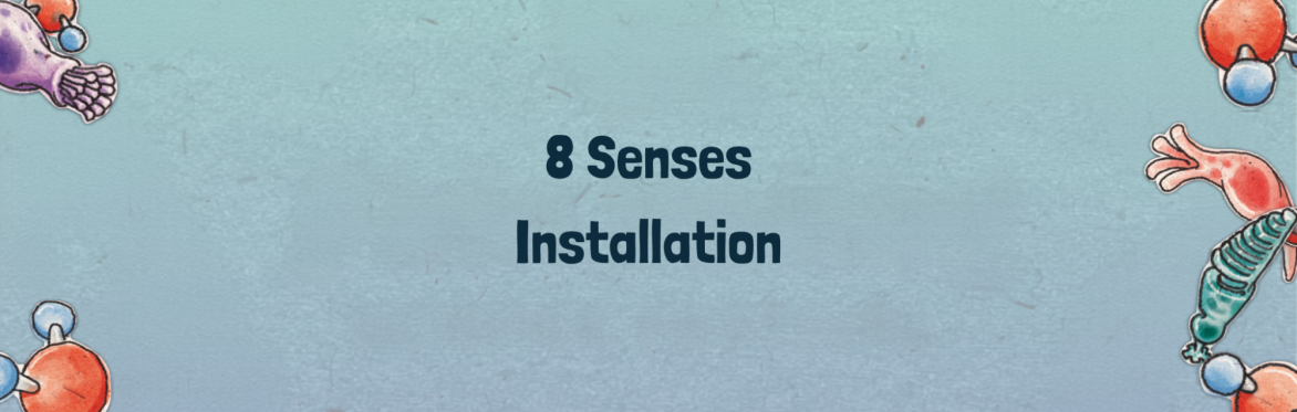 8 Senses Installation