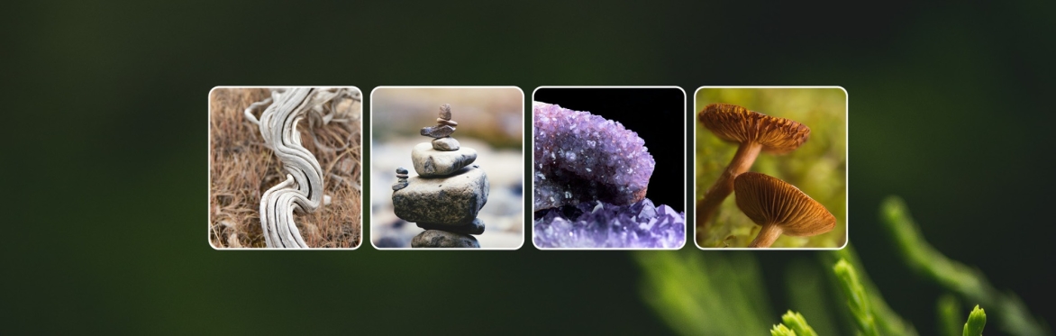 a tree stump with fungi, crystals and stones
