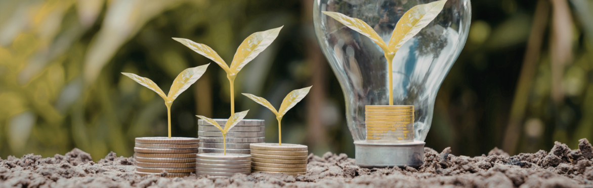 Opportunities for philanthropy to boost green skills in Scotland