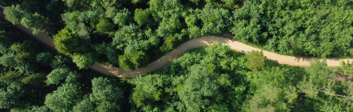 The Nature Within: A Movement Journey with Celestial Society