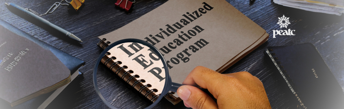 Anatomy of an IEP