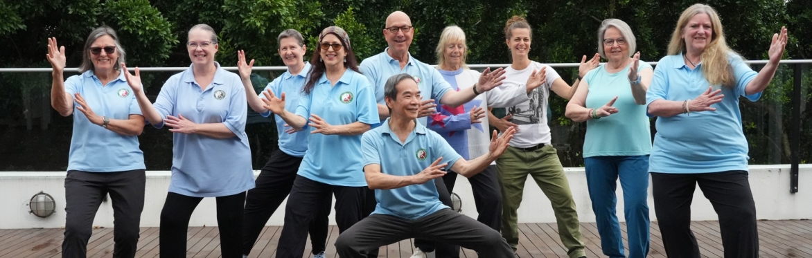 CALIFORNIA: Masterclass - Exploring the Depth of the Sun Style 73 Forms with Dr Paul Lam