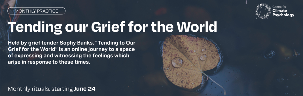 Tending our Grief for the World