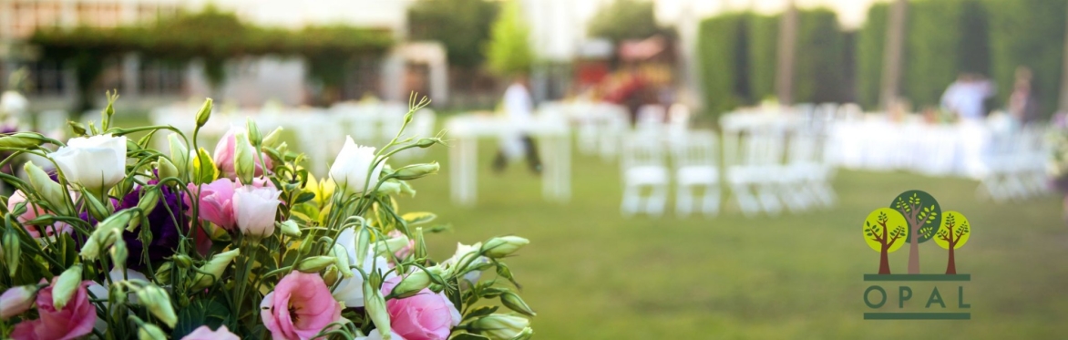 OPAL Summer Soiree 2026