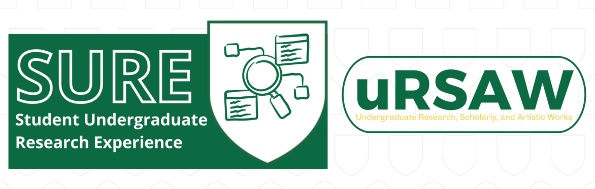 Life/Work Balance & Self-Advocacy for Undergraduate Student Researchers