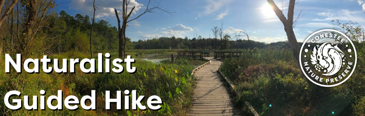 Naturalist Guided Hike