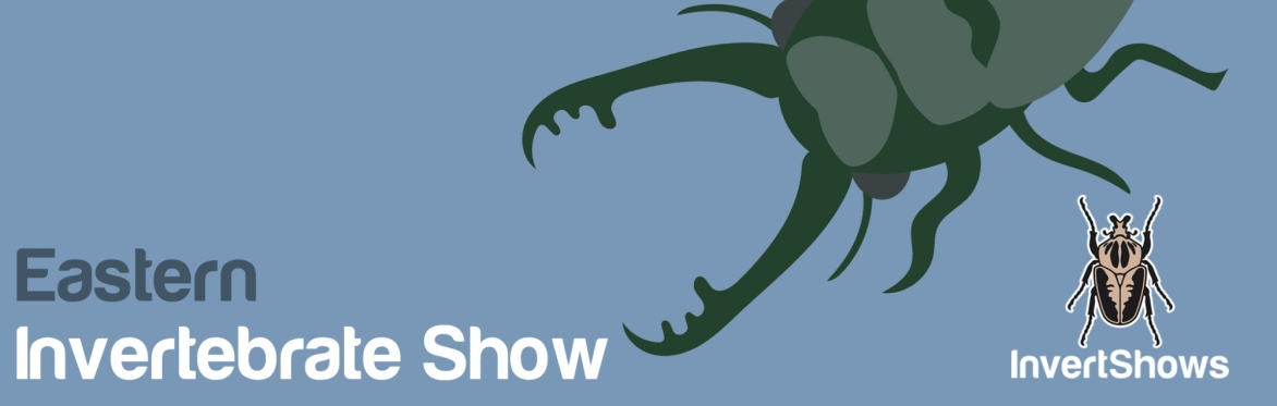 Eastern Invertebrate Show 2025