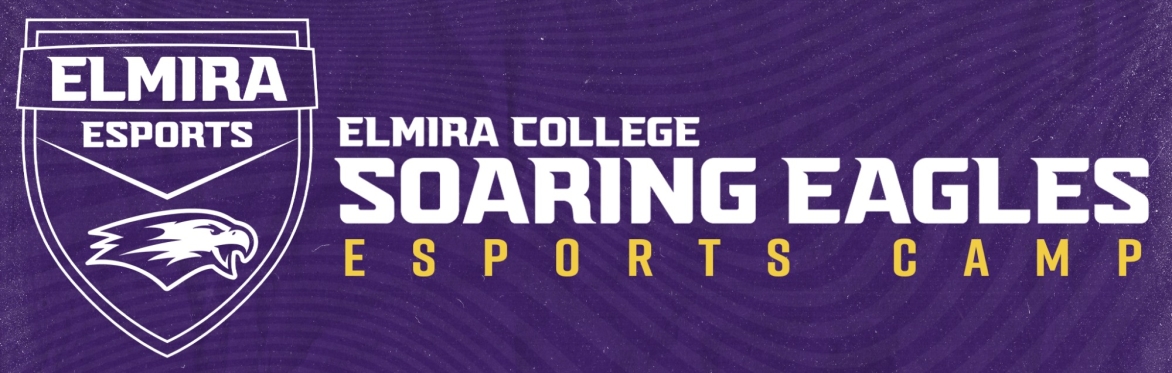 Elmira College Esports Camp