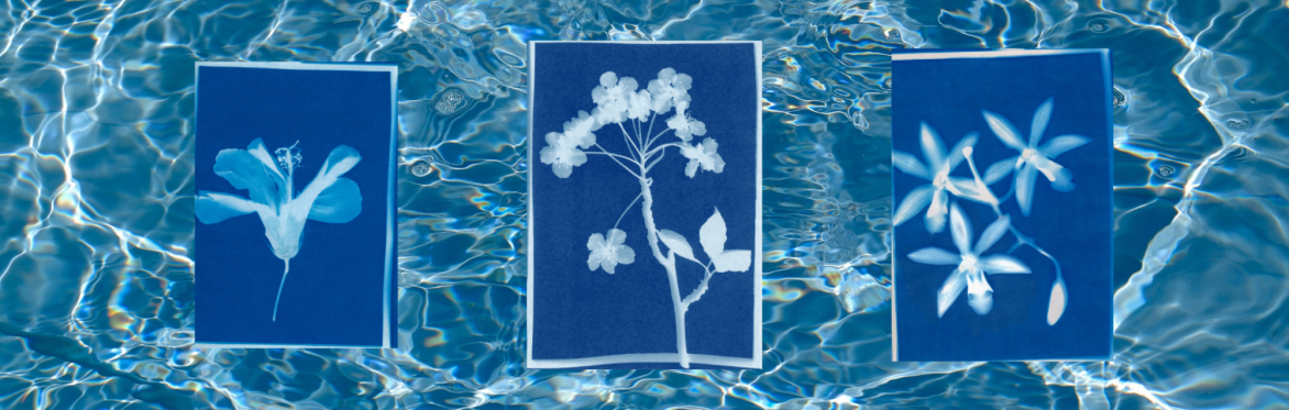 Art Class Pool Pass at the Wayback: Cyanotypes [JULY]
