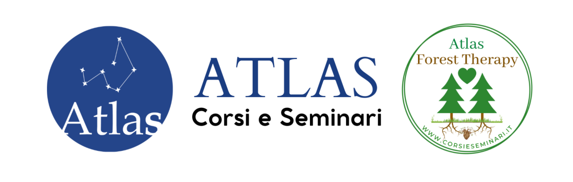 Ci presentiamo