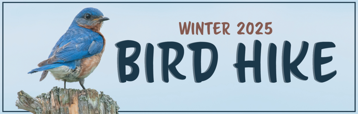 Winter Bird Hike - Miami Township Clermont County - WAITLIST ONLY