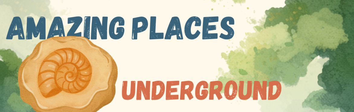 🌍 Summer family fun: Underground - a special summer nature club for nursery and primary age