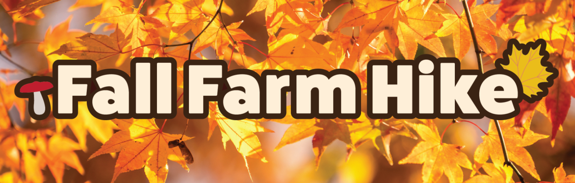 Fall Farm Hike